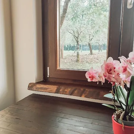 Casale Dei Ricordi Arce