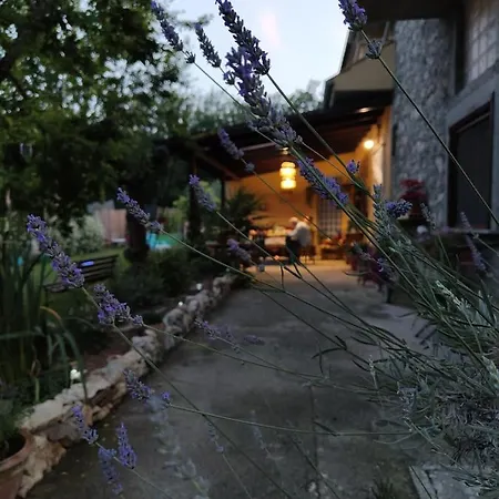 Bed & Breakfast Casale Dei Ricordi Arce